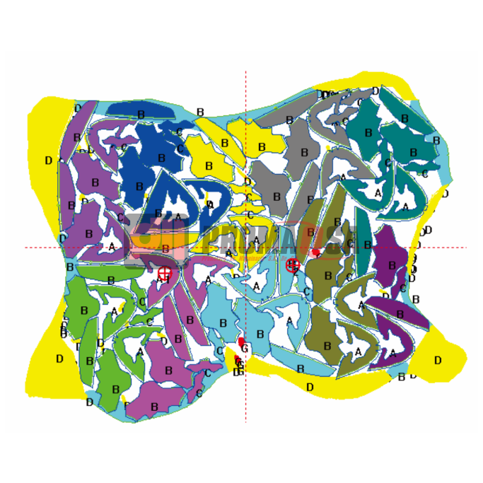 EMMA PN-3216-E. Sistema de anidado (nesting) para cuero.